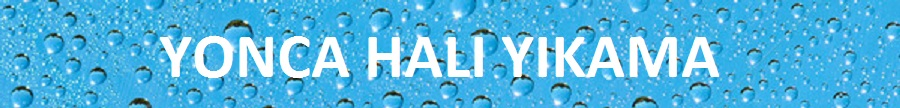 Hali Yikama Firmalari Seyhan Adana 1 Firmasec Com